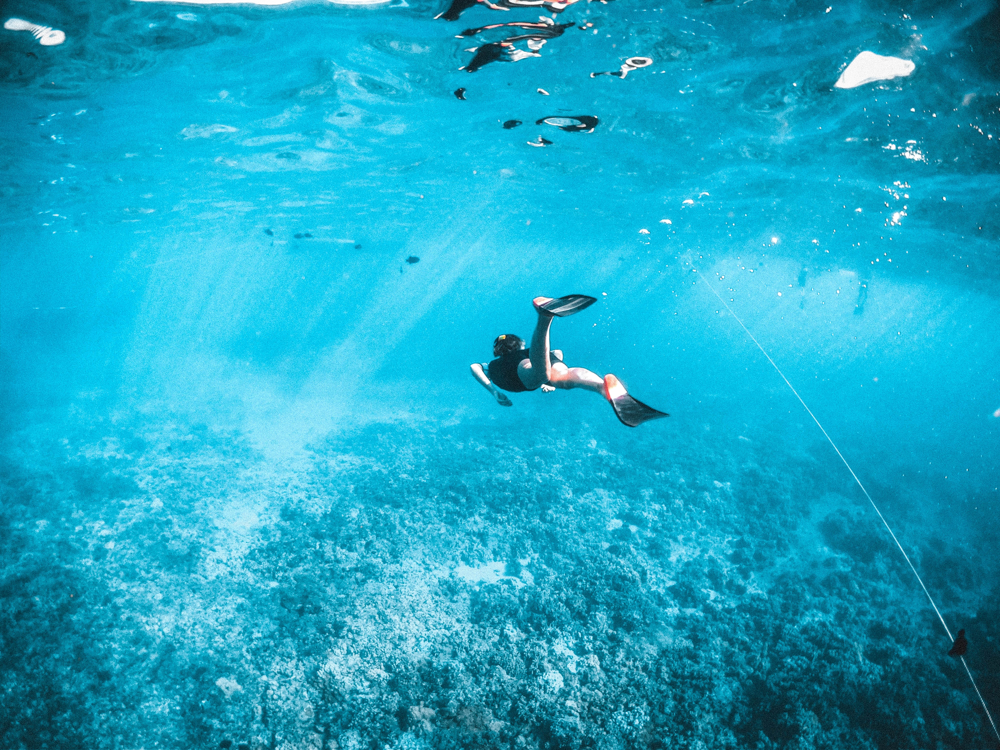 Snorkel Pic